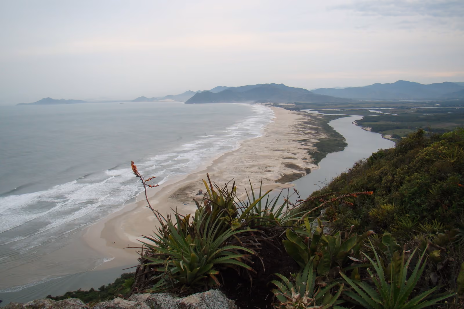 Playa de Guarda do Embaú vista desde lo alto de la Pedra do Urubu, con bromelias en primer plano, las olas a la izquierda y el Rio da Madre a la derecha de la franja de arena