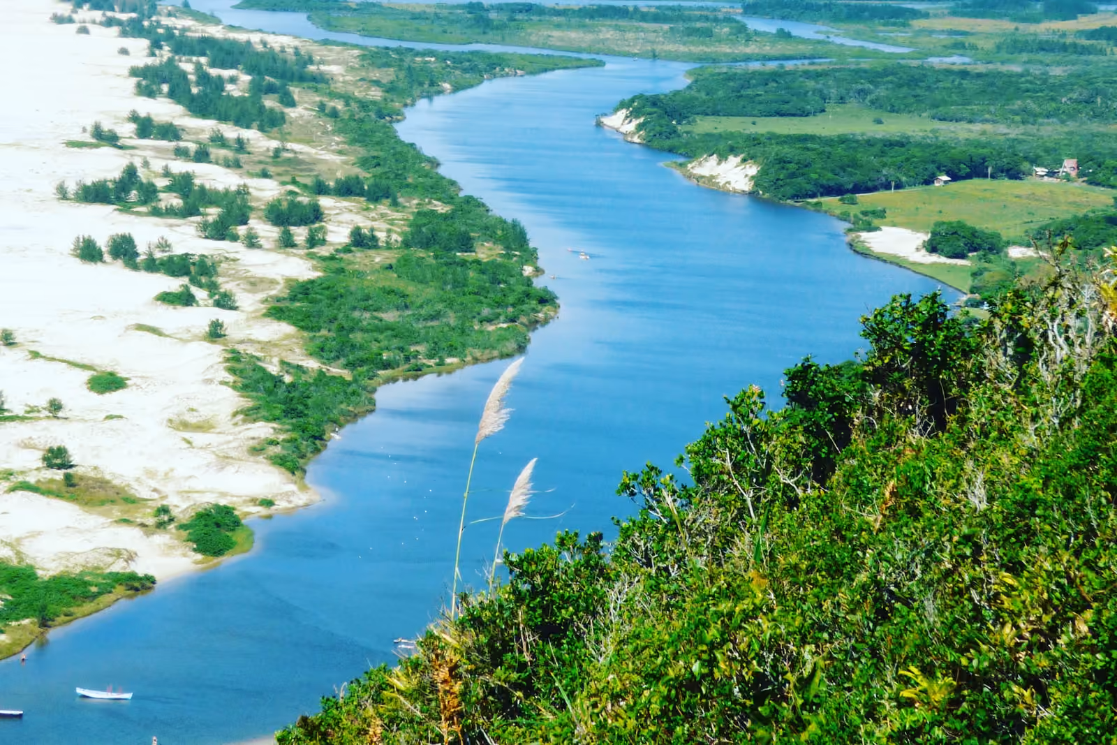 Rio da Madre visto do alto da Pedra do Urubu, com barcos na água, a faixa de areia e restinga entre o rio e o mar à esquerda e a mata do morro em primeiro plano