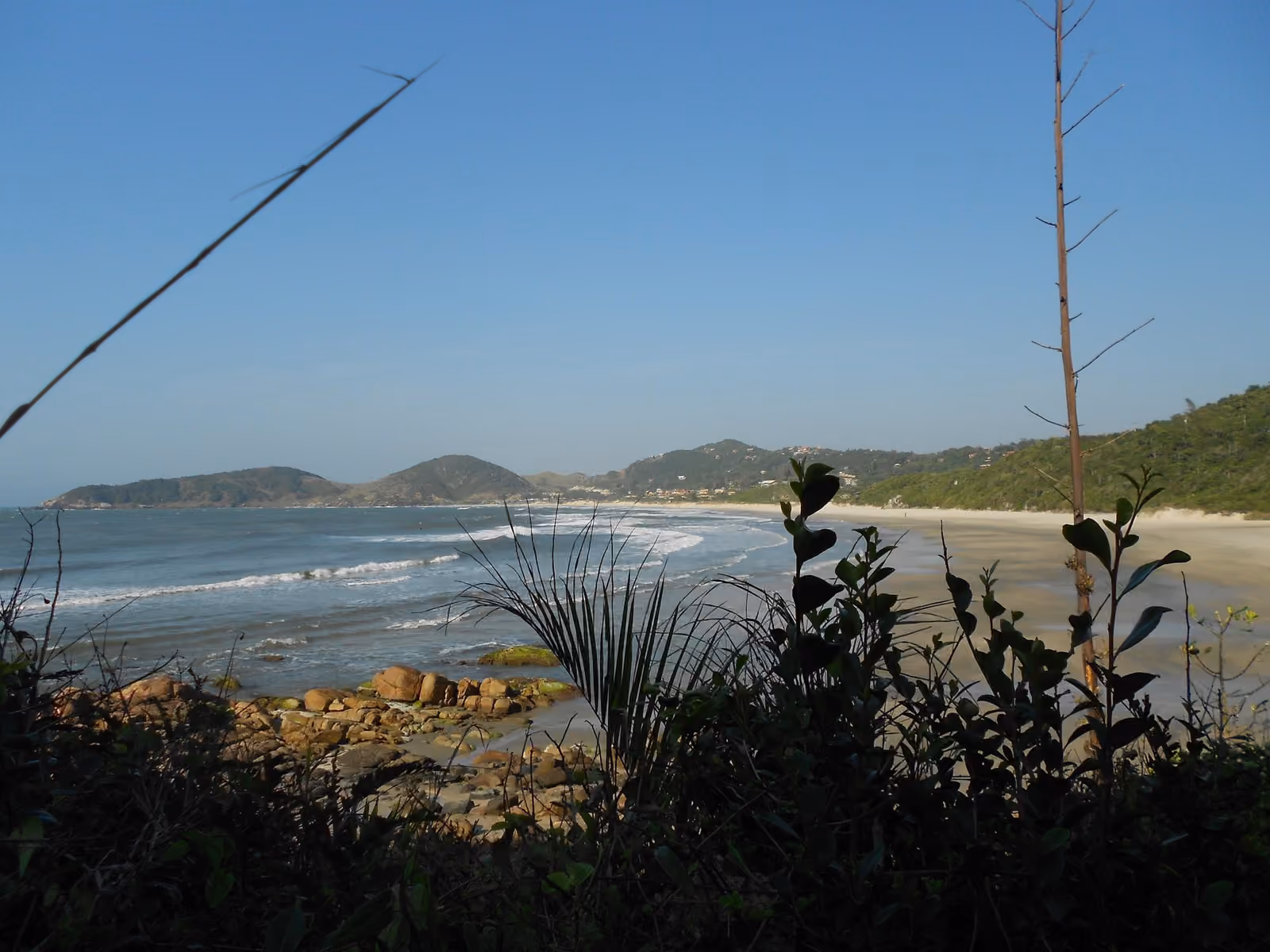 Praia do Rosa Norte vista entre la vegetación del sendero de la Praia Vermelha, con piedras en el canto y morros al fondo
